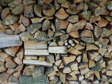 Trunk section texture (ID:ffaeg76923)