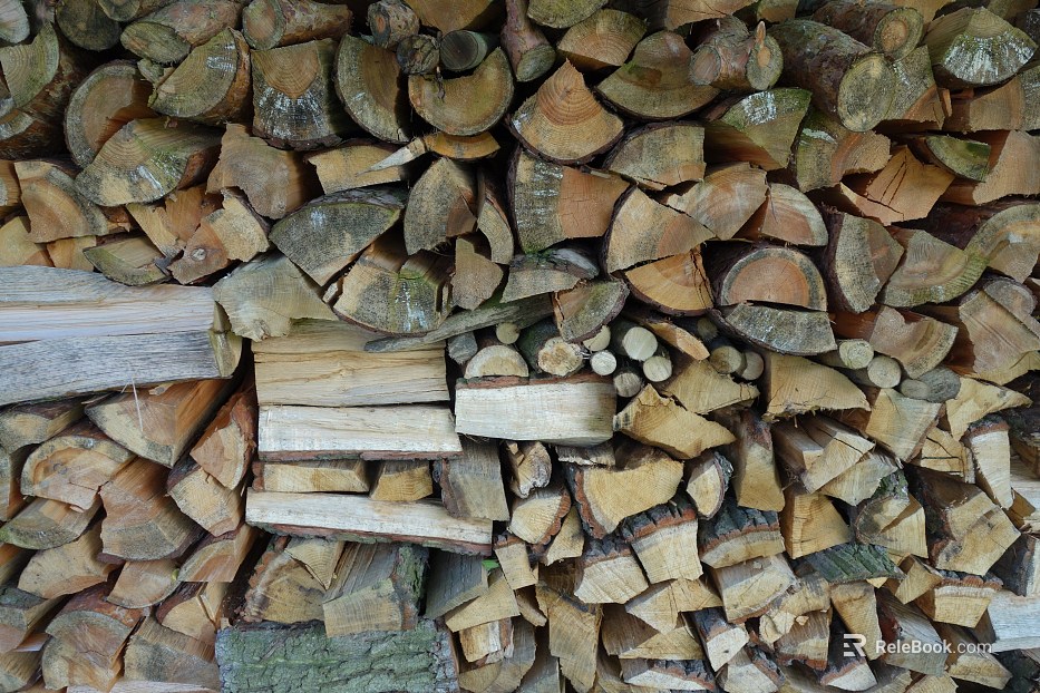 Trunk section texture