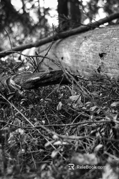 black and white painting texture