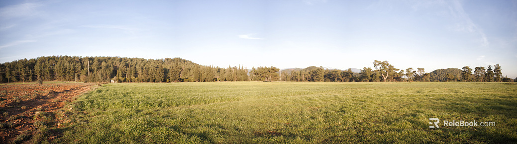 Green Meadow Forest Mountain Blue Sky White Clouds Outdoor Sky Meadow texture