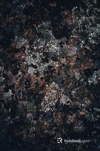 bark texture