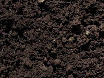 Mud 3d model