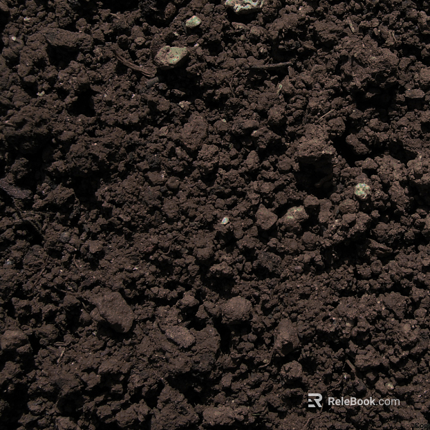 Mud texture