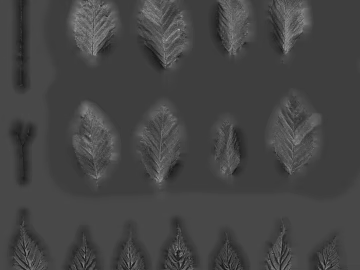 Black and White Leaves Bump Texture Map texture (ID:ffaeh034232)
