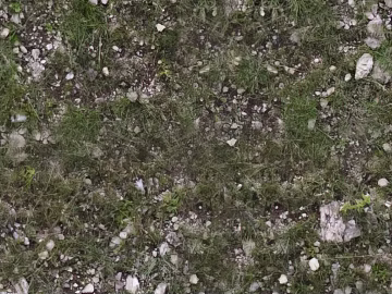 Turf texture (ID:ffadf8975)