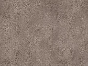 Coarse-grain leather texture (ID:ffacg32618)