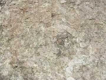 Rice gray crack cement wall texture (ID:ffaeh982694)
