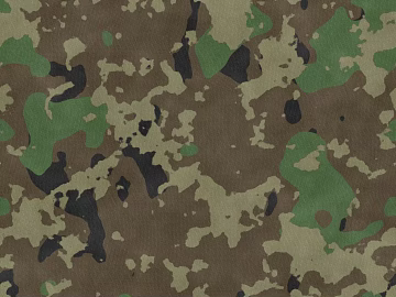Camouflage texture (ID:ffaeh506656)