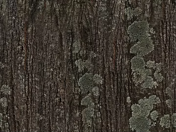 Dark gray bark natural decorative texture (ID:ffaeh785279)