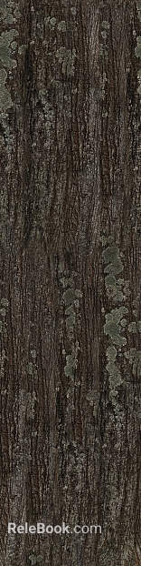 Dark gray bark natural decorative texture texture