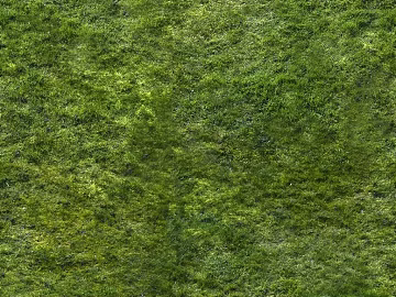 Turf texture (ID:ffajg01490)