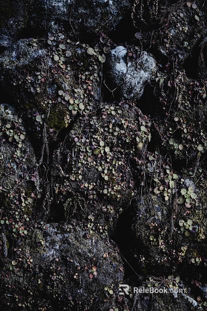 mountain rock wall texture