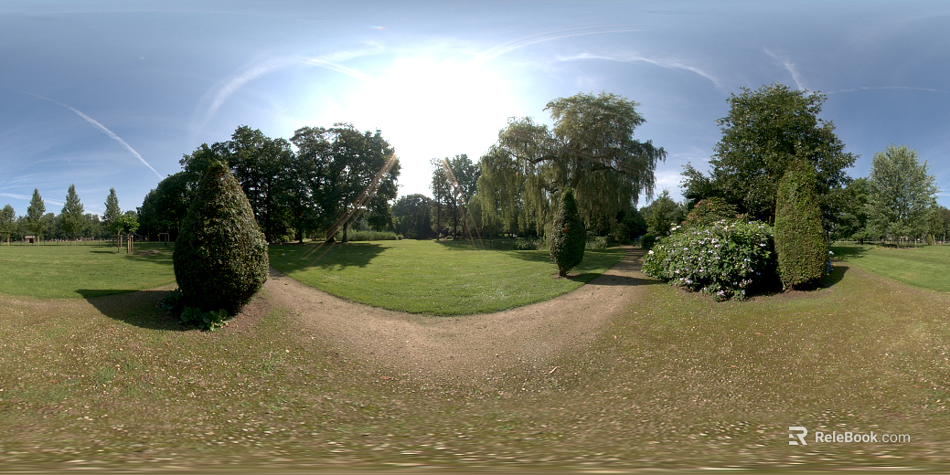 Sunny Forest Lawn Path HDR texture