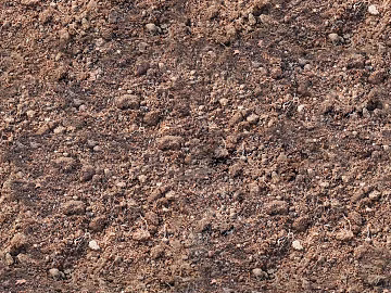 Mud texture (ID:ffabg64227)