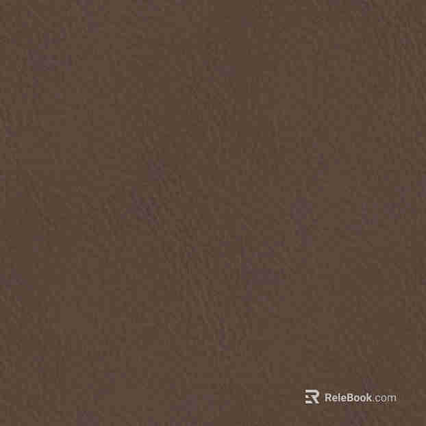 fine grain leather texture