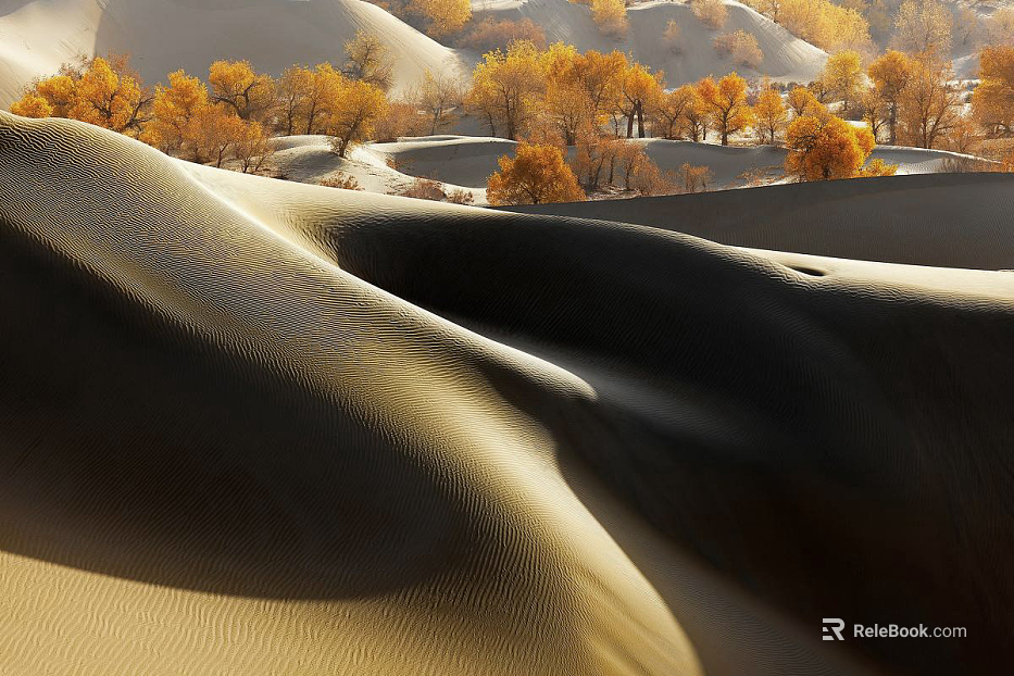 Wild Scenery texture