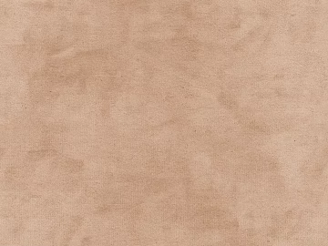 Plain pattern carpet texture (ID:ffajg66321)