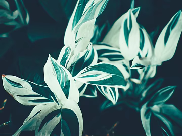 Plant painting texture (ID:ffaeg25097)