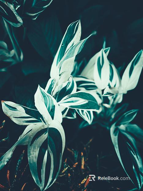 Plant painting texture