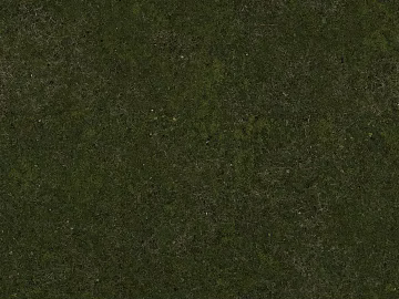 moss 3d model
