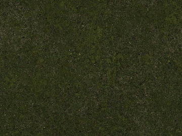 moss texture (ID:ffaaf6708)