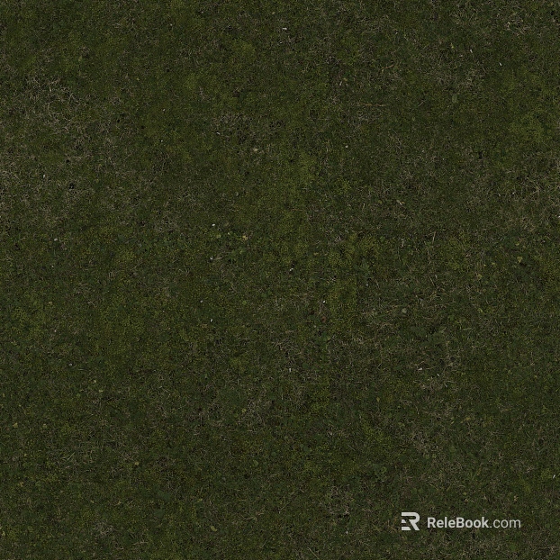 moss texture