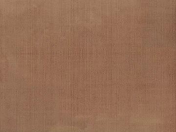 plain cloth texture (ID:ffach637374)