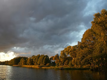 Outdoor Forest Exterior texture (ID:ffajh876077)