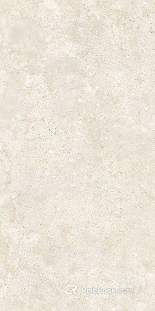 Lyme Stone Jinyi Tao Lyme Stone texture