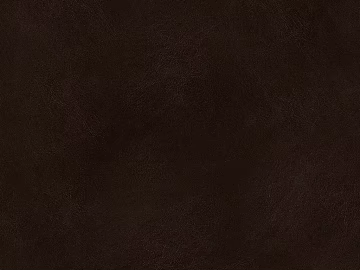 fine grain leather texture (ID:ffagg74563)