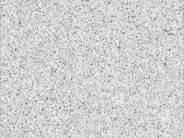 sesame gray granite texture (ID:ffach409411)