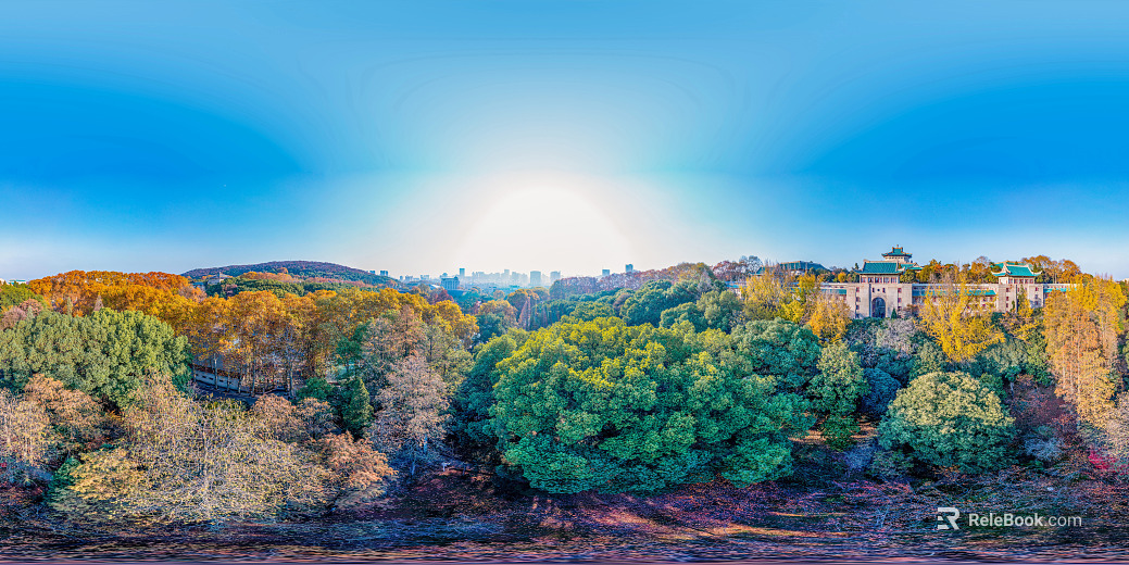 HDR City Eco Park Panorama texture
