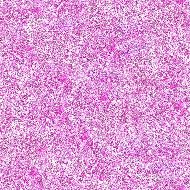 Grassland texture