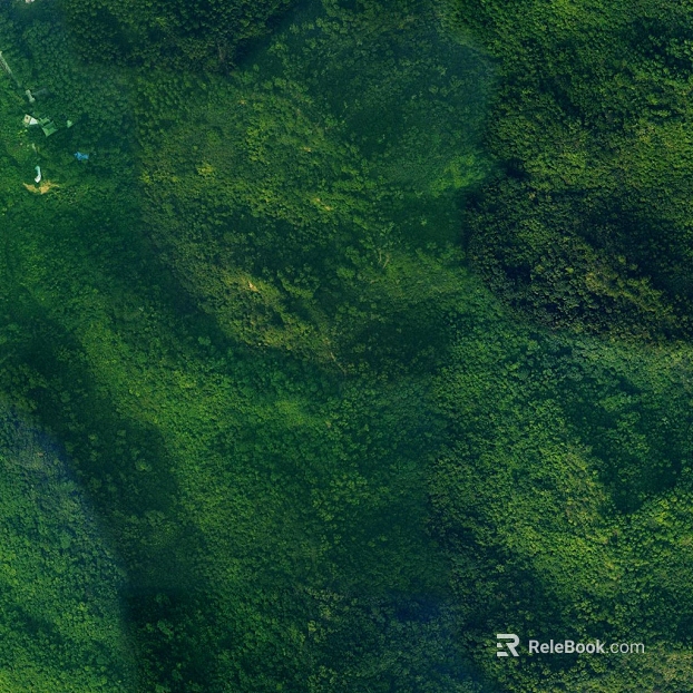 Dark Green Jungle Outdoor Exterior Map texture