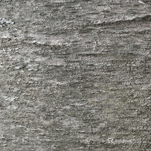 bark texture