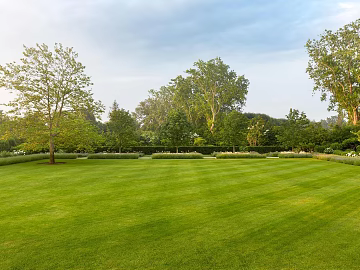 Wild Scenery texture (ID:ffach867173)