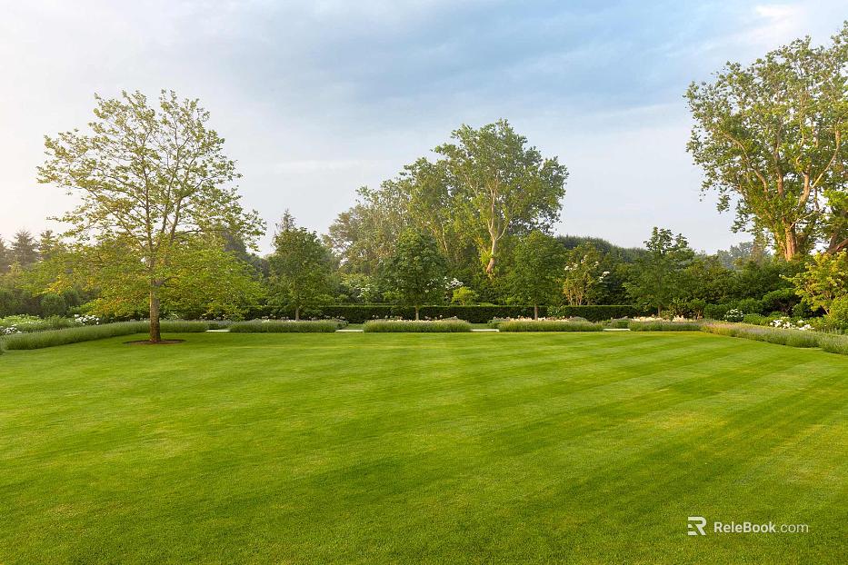 Wild Scenery texture