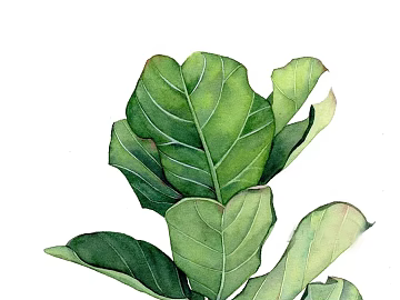 Flower Painting Hanging Painting Decorative Painting Plant Painting texture (ID:ffach151220)