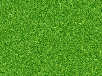 green turf texture (ID:ffaeh732016)