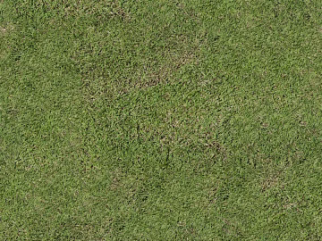 Realistic textured grassland, grassy slope, and green space—texture and grain. (ID:ffaeh232682)