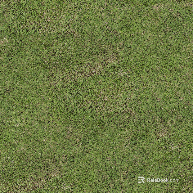 Realistic textured grassland, grassy slope, and green space—texture and grain. texture