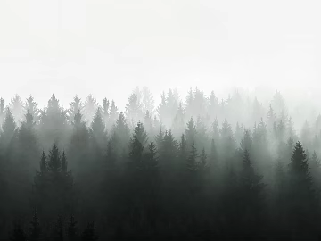 Forest tree background 3d model