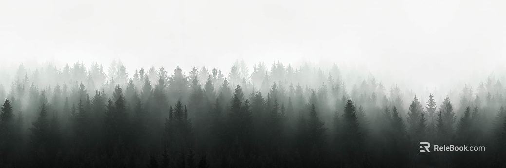 Forest tree background texture