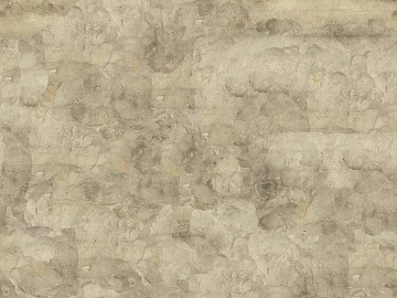 Mud texture (ID:ffacg86569)