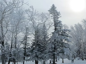 Snow texture (ID:ffaeg64055)