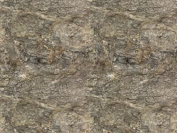 bark texture (ID:ffacg70019)