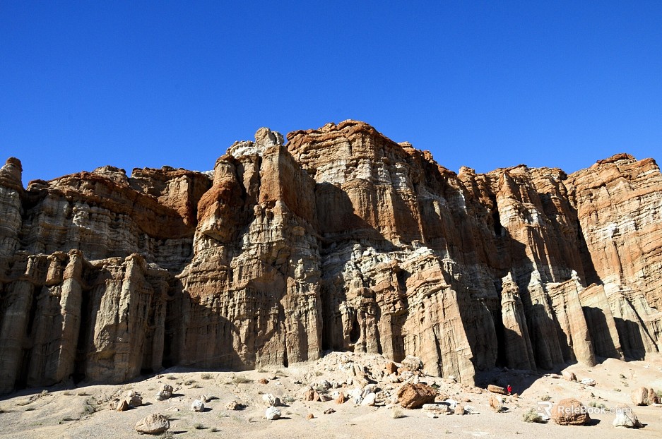 Wild Scenery texture