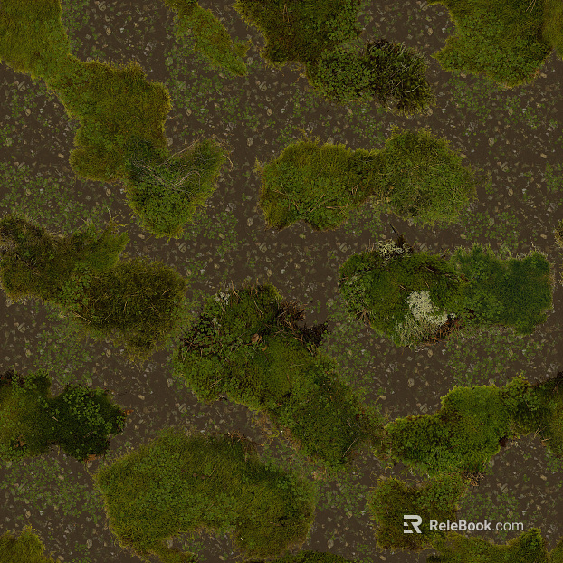 moss texture