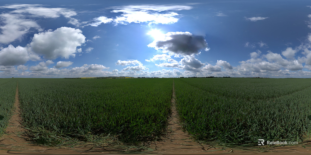 HDR outdoor grassland cloudy sky texture
