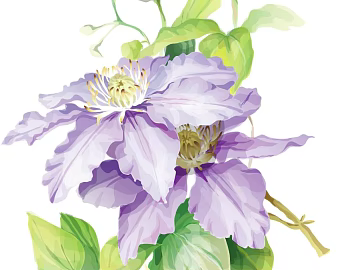 Plant painting texture (ID:ffagg54537)